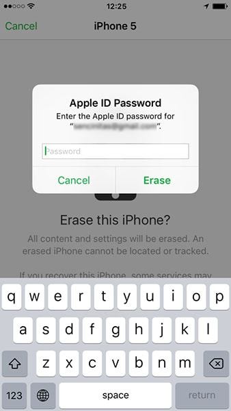 enter your Apple ID password