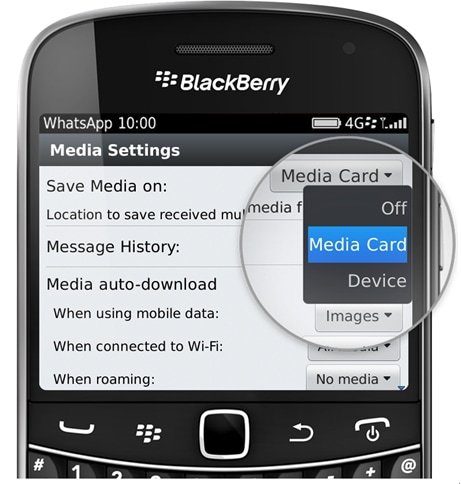 blackberry bold data recovery