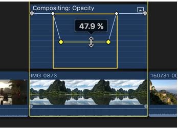 adjusting the selected animation effect