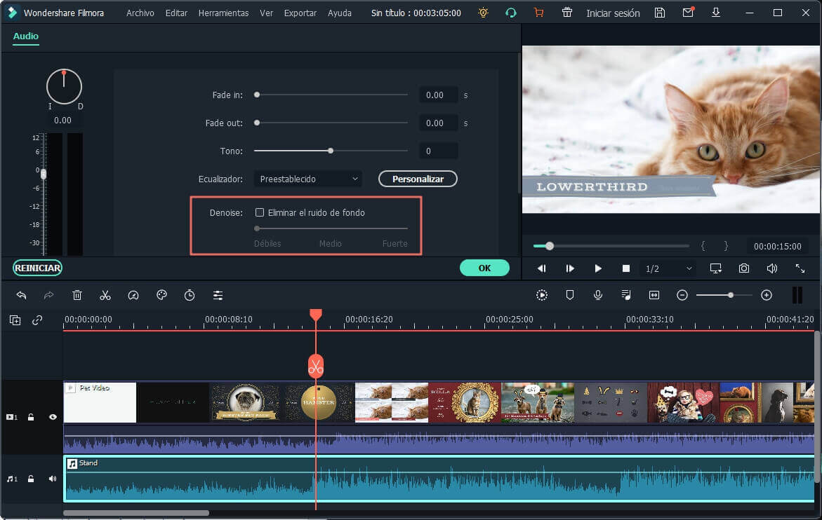 background noise removal with video editor
