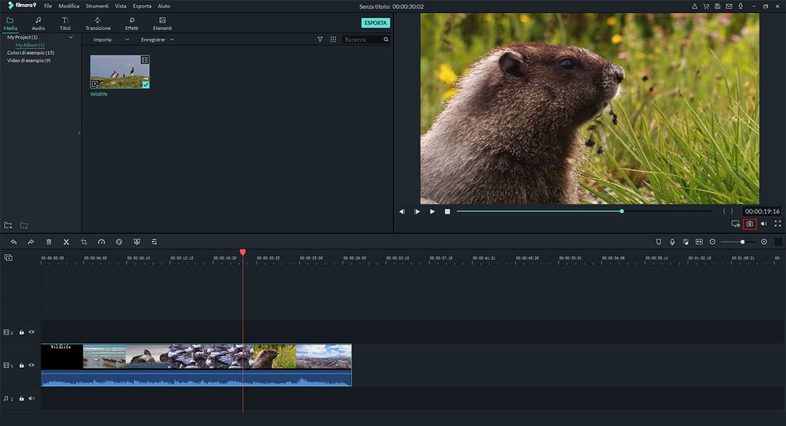 Filmora video editor