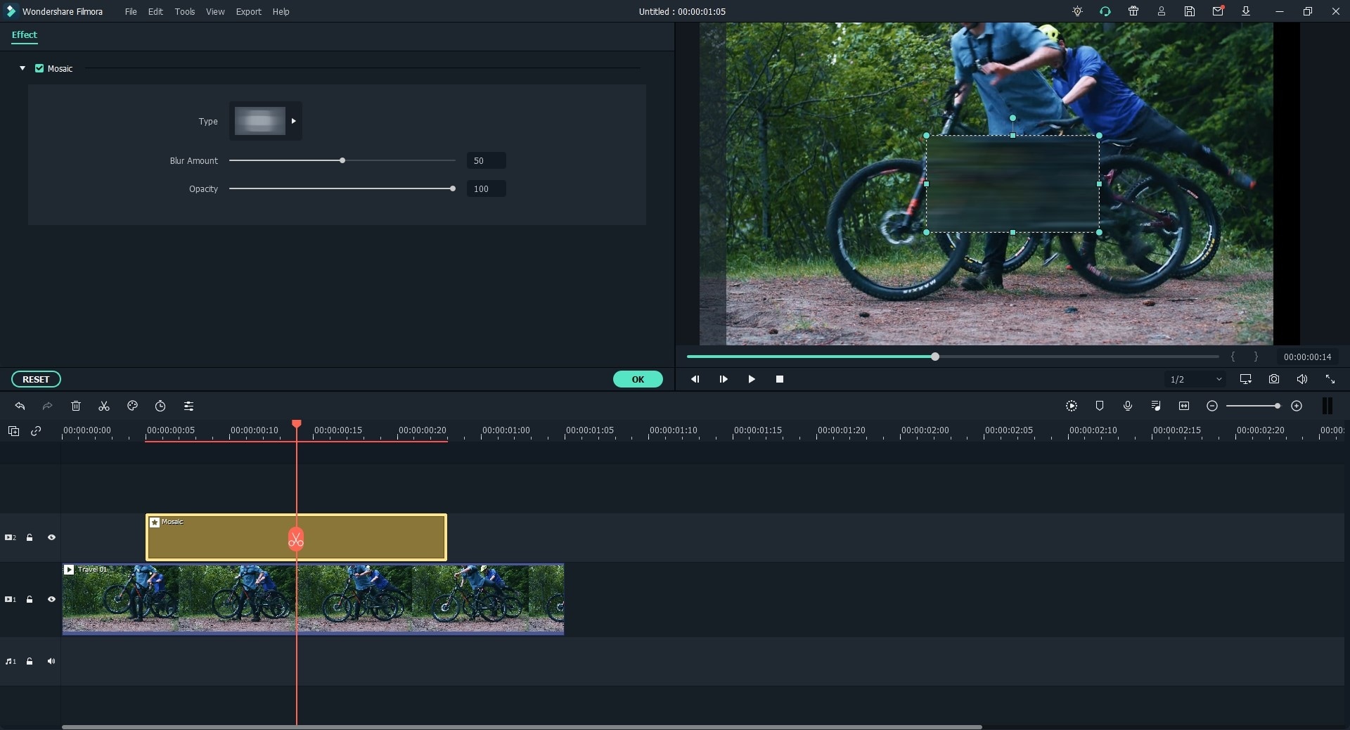 video mosaic editor