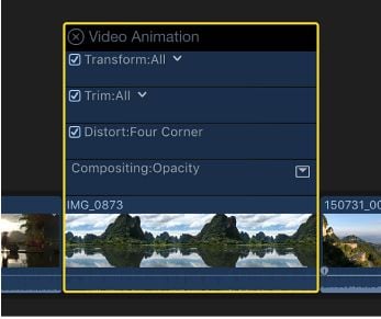 interface for a video animation editor