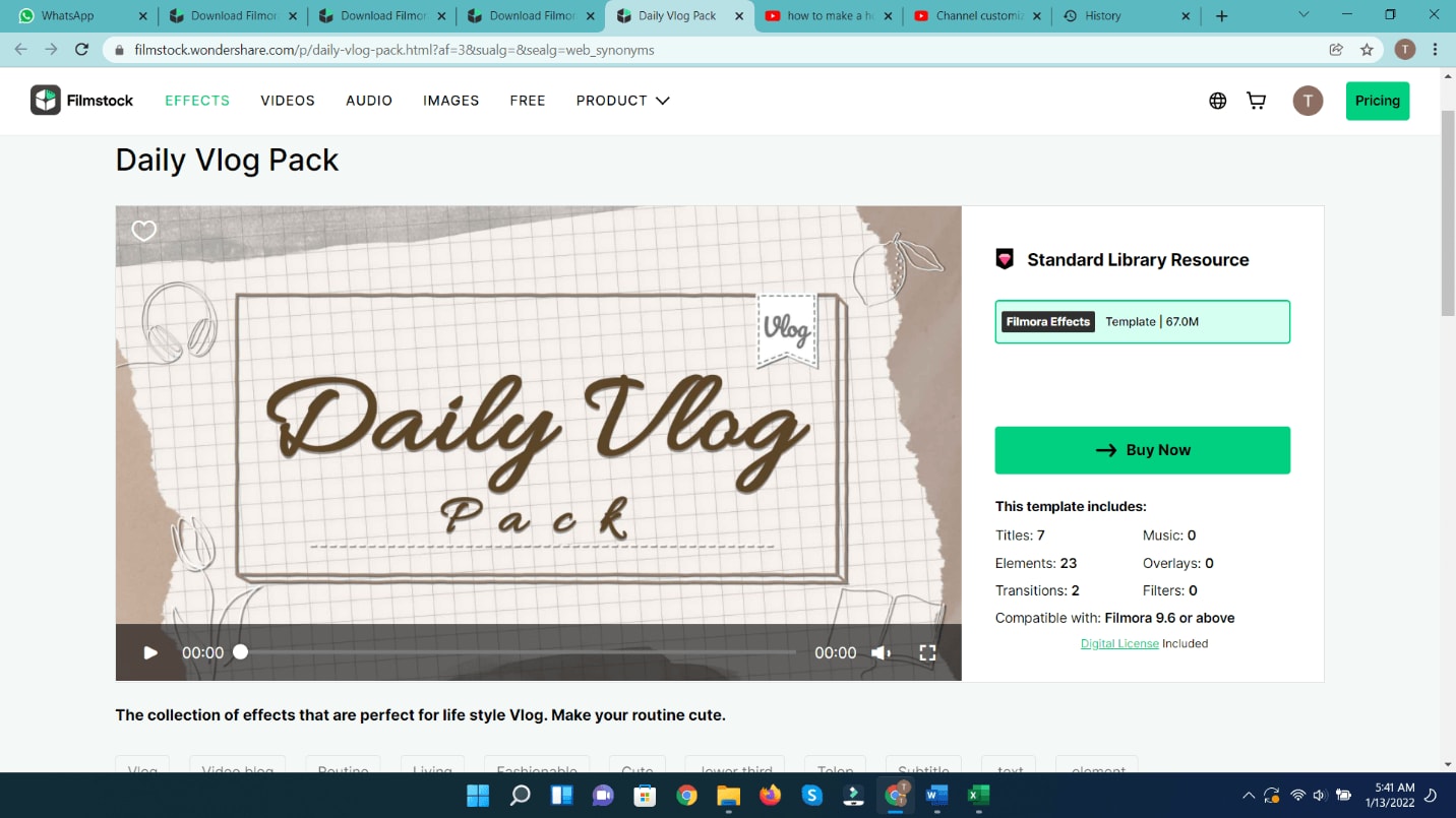 daily vlog pack