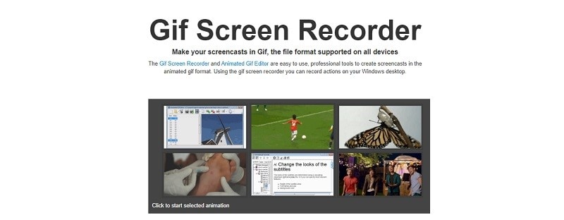 Screen Recorder GIF Software - WareData