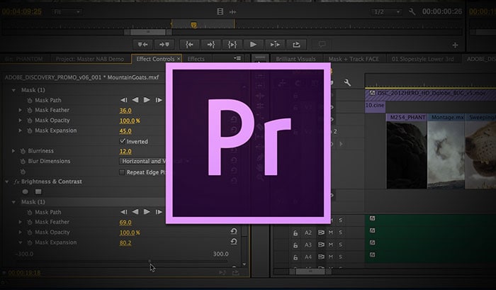  effetti di sovrapposizione video in premiere pro 