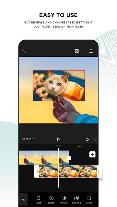 video editor for tiktok