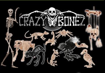  Crazy Bonez 