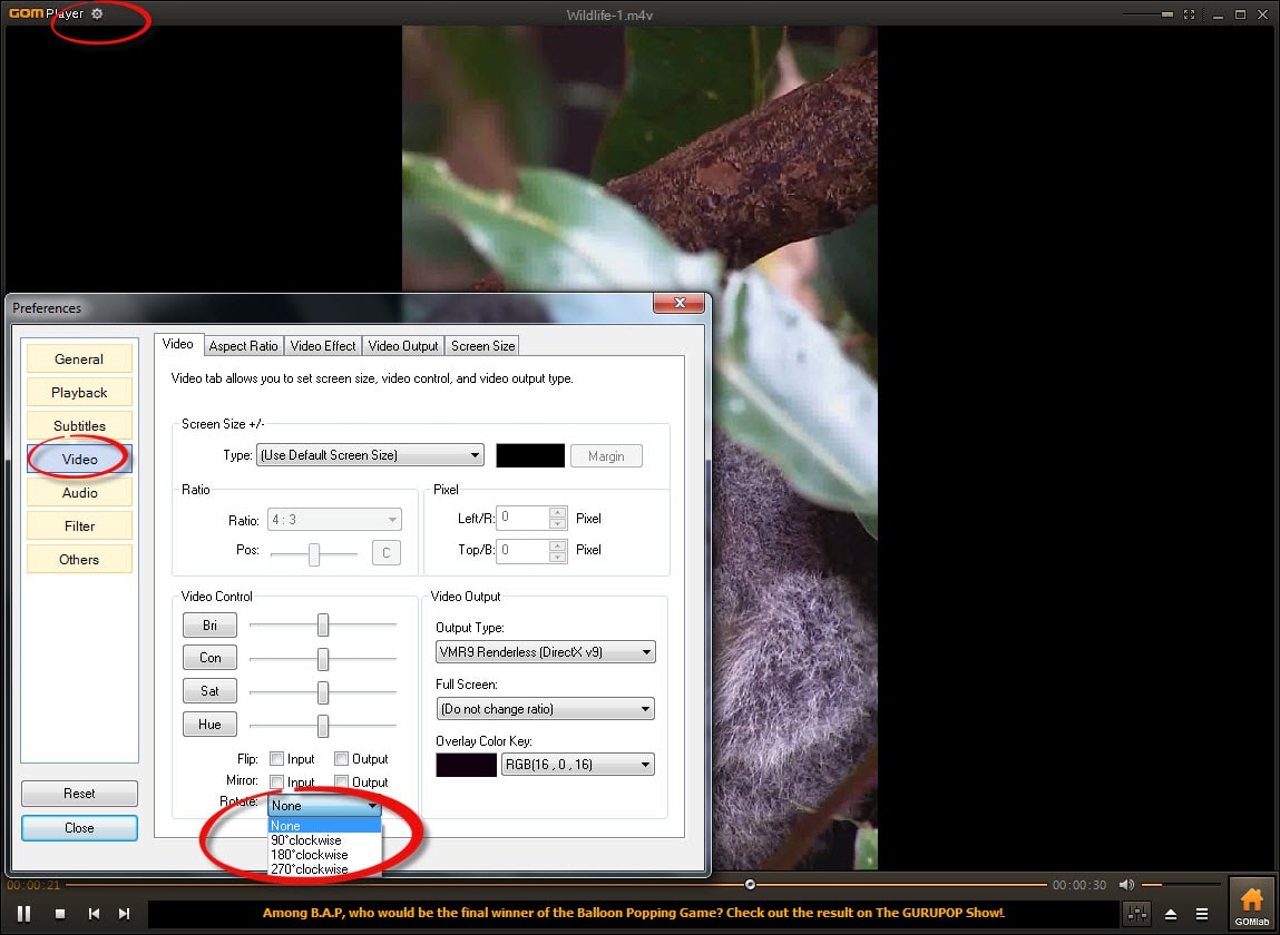gom player rotar video