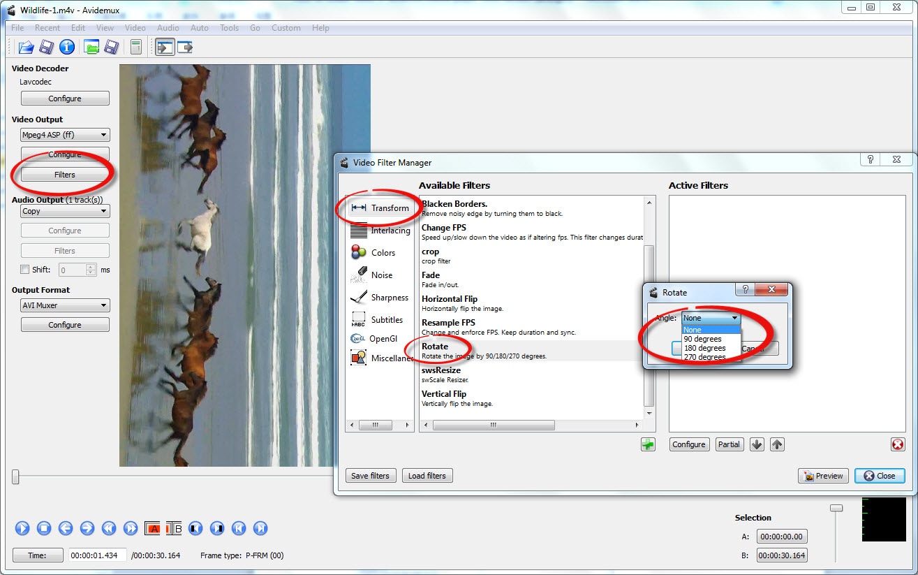 avidemux ruotare il video