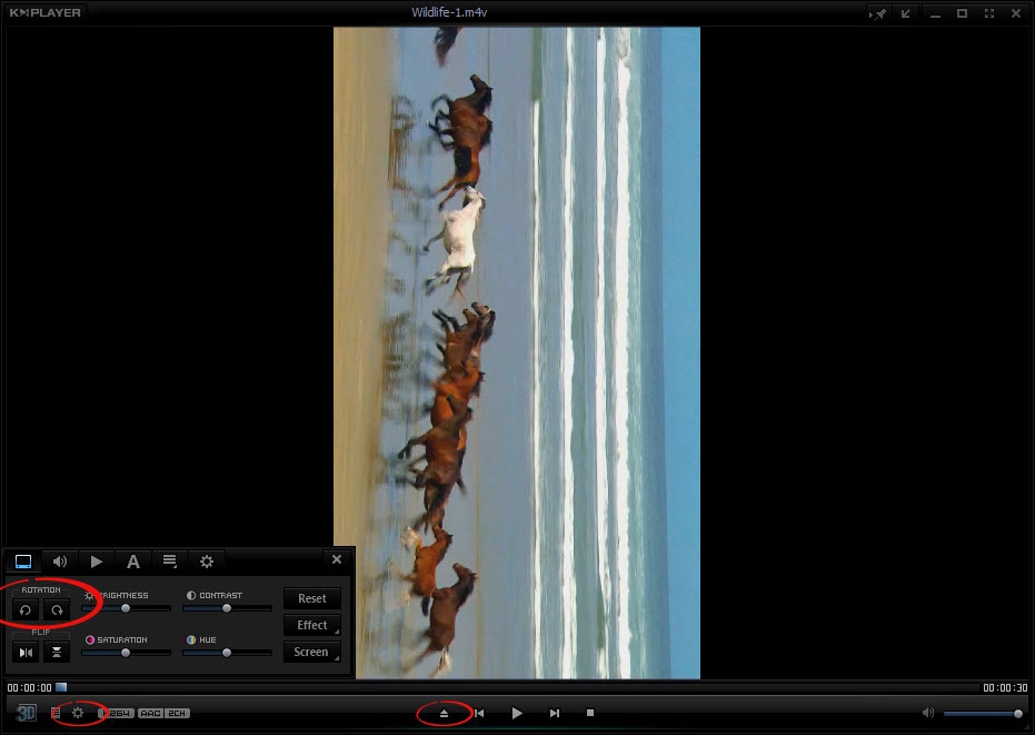 kmplayer rotate video