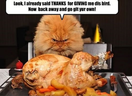 happy thanksgiving meme