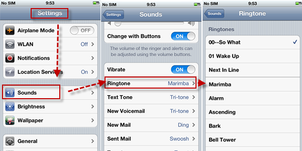 Put your iPhone in Ring/Silent mode