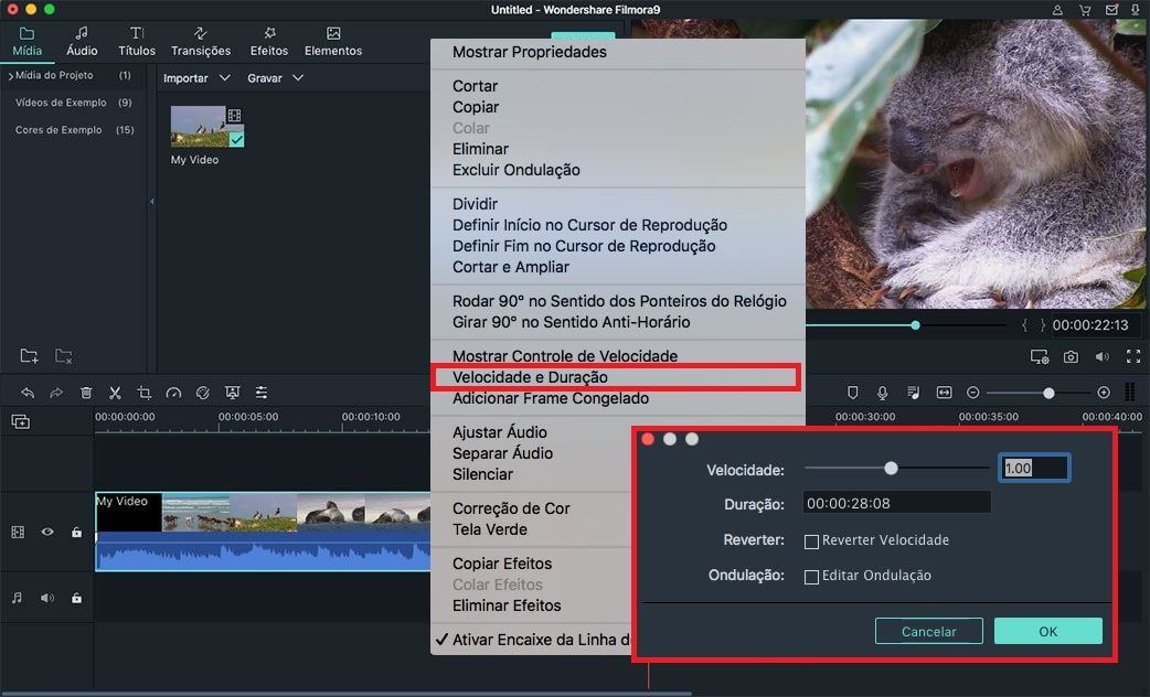 Como Controle a Velocidade de Reprodução no Premiere Pro