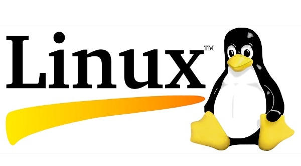Chrome on linux