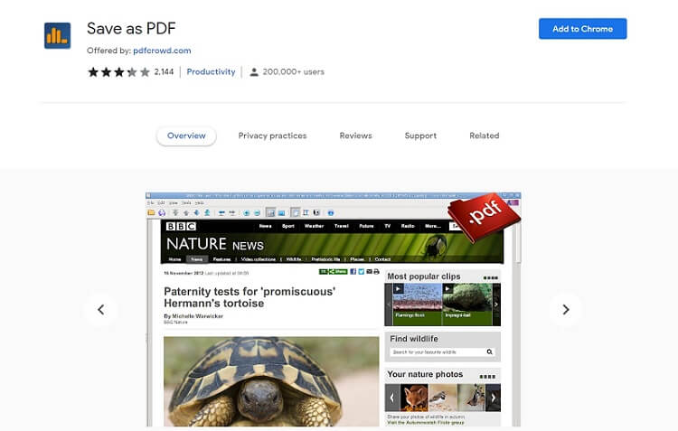 How Convert to PDF Chrome and Firefox