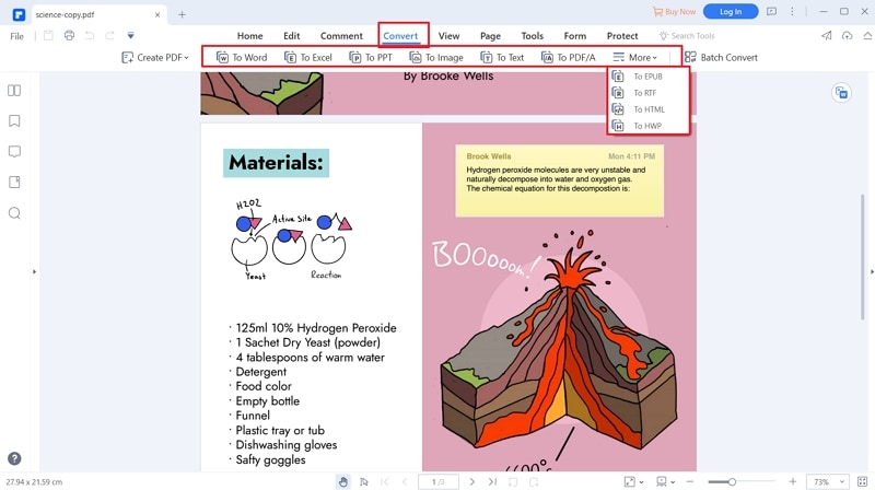 pdf to word editable text