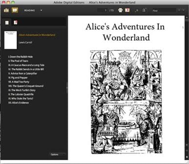 Adobe PDF Ebook Reader