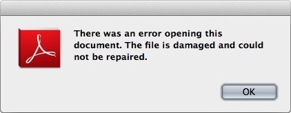 cannot open pdf file