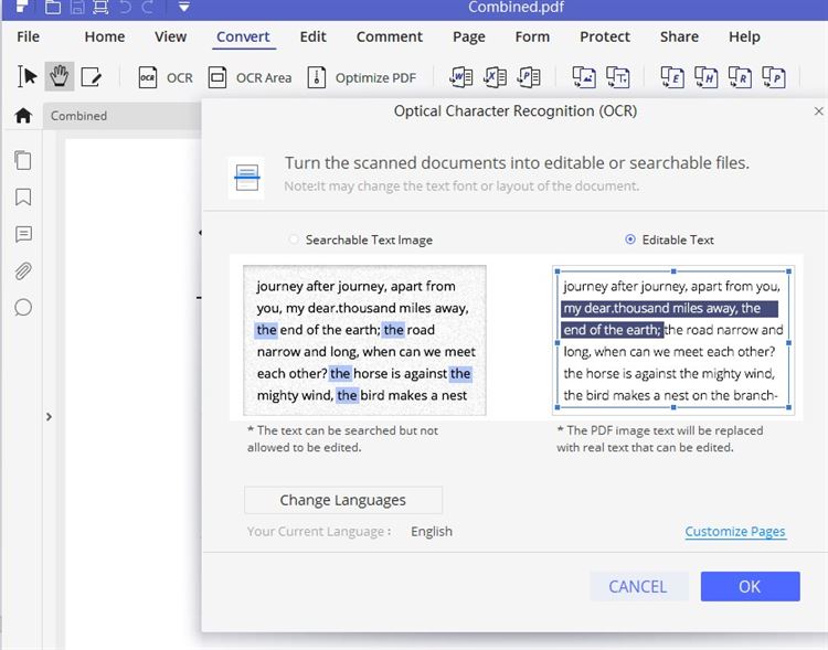 pdf ocr reader windows