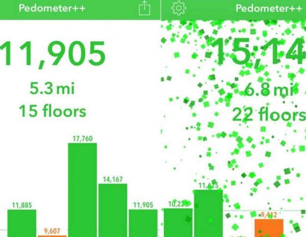 Pedometer