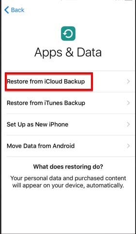 tap restore from iCloud backup