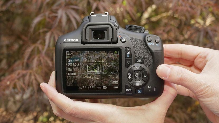 Learn How to Recover Deleted Photos from Canon Digital Camera! Full Guide 2019