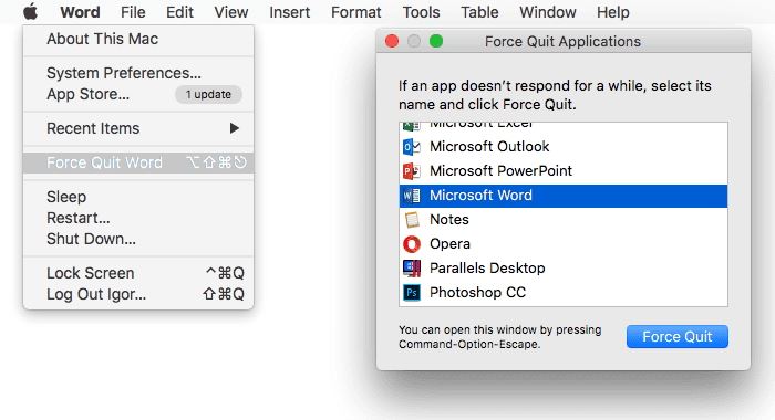 microsoft word is not opening on mac