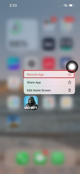 choose to remove app option