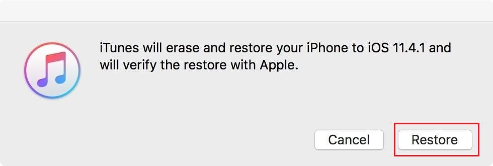 Confirm Restore process