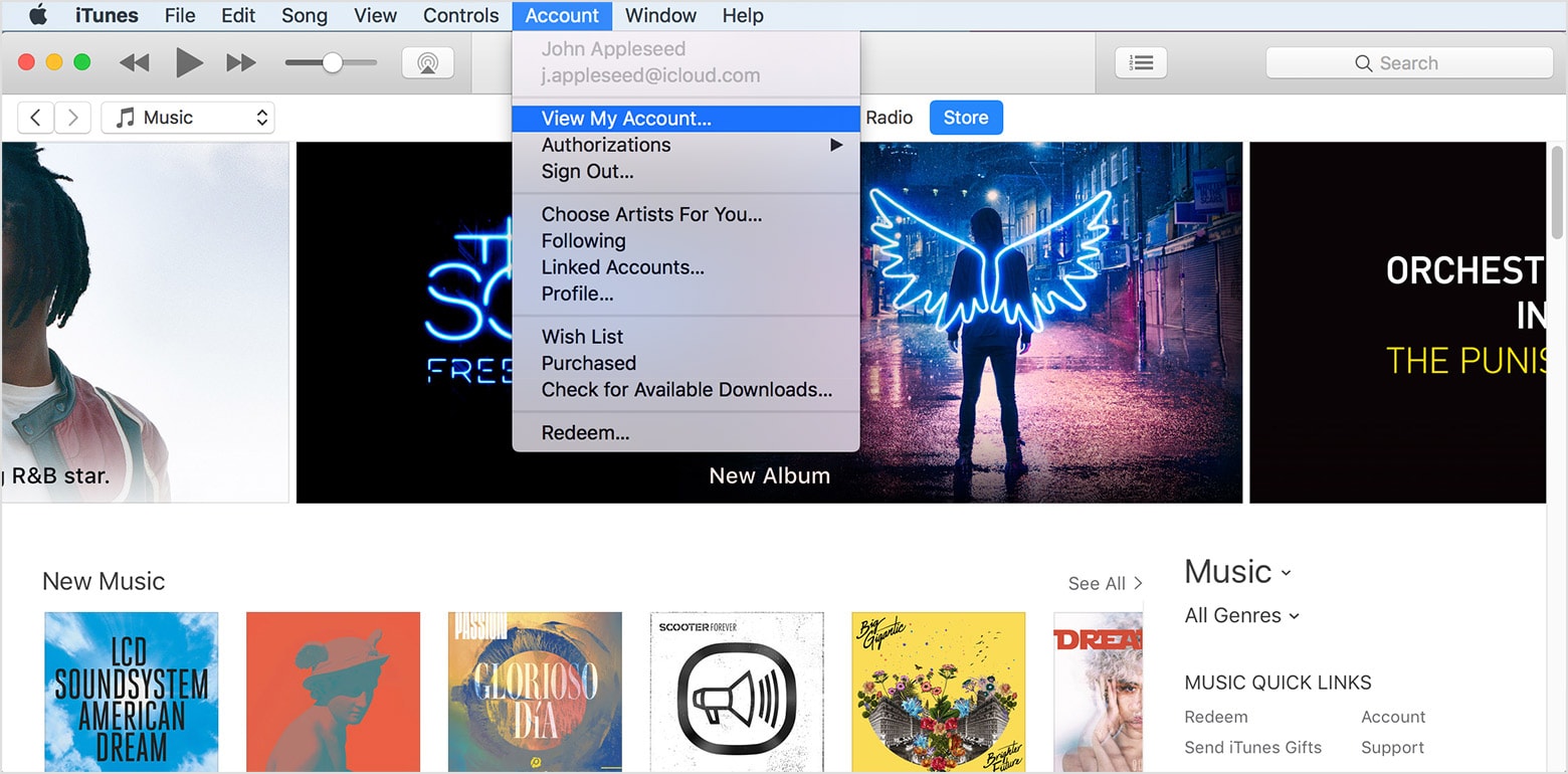 Authorize iTunes