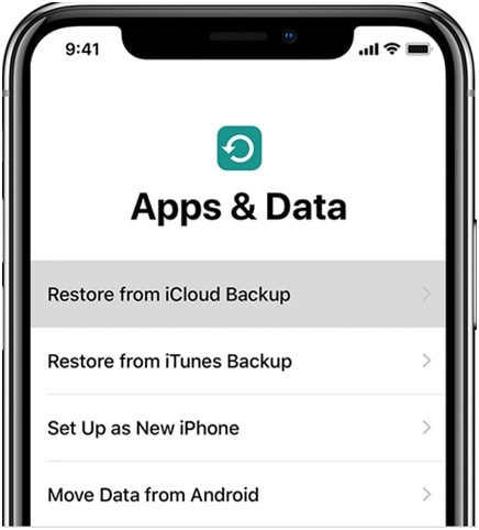 Restore from iCloud backup