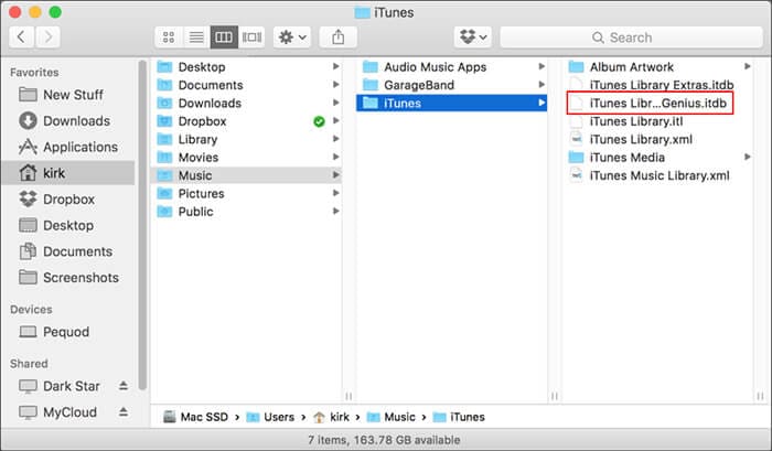 delete Genius files on Mac
