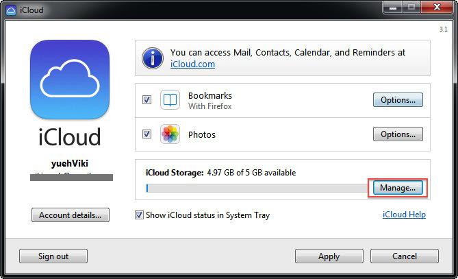 delete icloud data