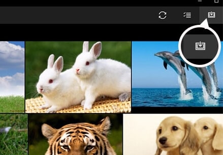 photo app import icon