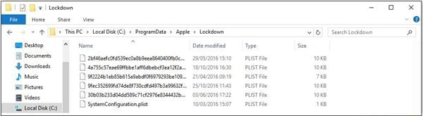 Reset iTunes lockdown folder on Windows 10