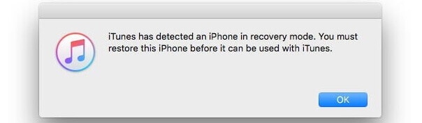 restore iphone in recovery mode