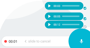 whatsapp send voice messages