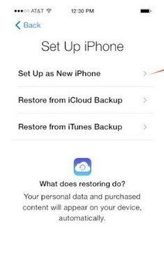 transfer whatsapp  via itunes