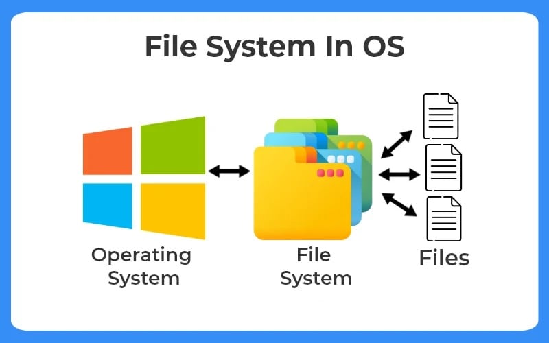 a file system enables an os to read, write, and manage files