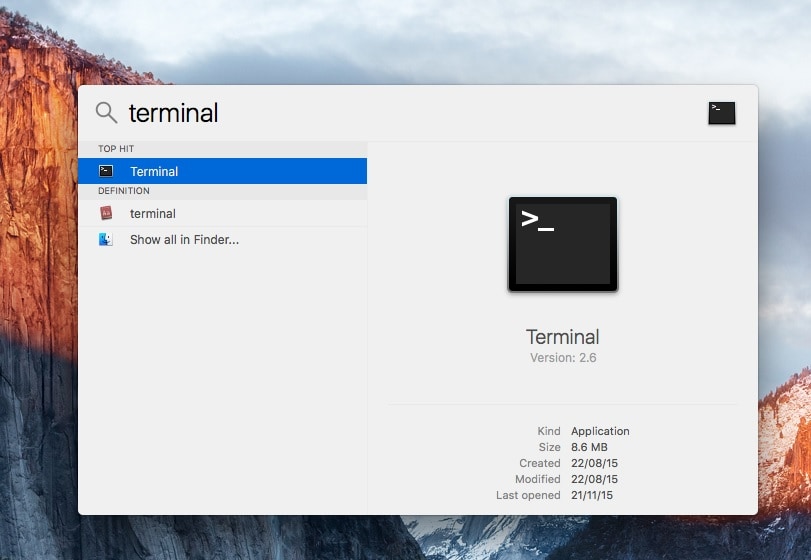 search for the terminal app