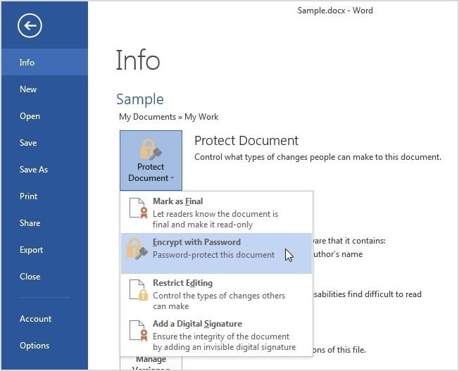 go to encrypt with password in protect document setting