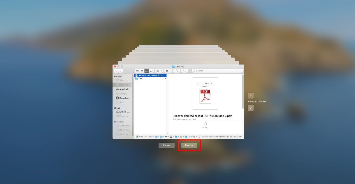 restore pdf