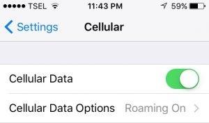 iphone could not activate cellular data network