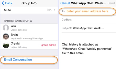 whatsapp chat history