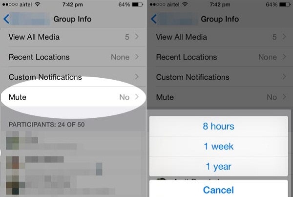 Mute Notifications on whatsapp