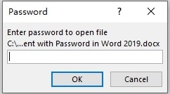 enter the password to open file