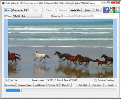 Convert Video to GIF Online