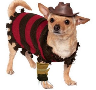 halloween costumes for dogs