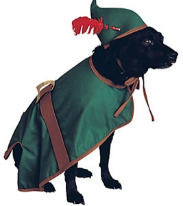 robin hood dog